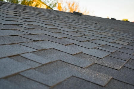 Protect and Beautify Your Home with Professional Roof Cleaning Thumbnail